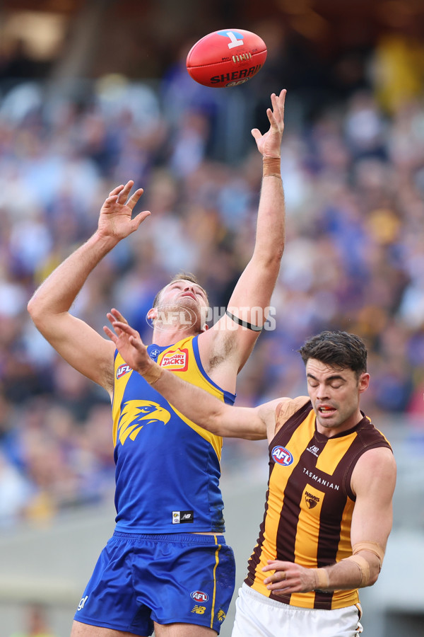 AFL 2024 Round 16 - West Coast v Hawthorn - A-51492662