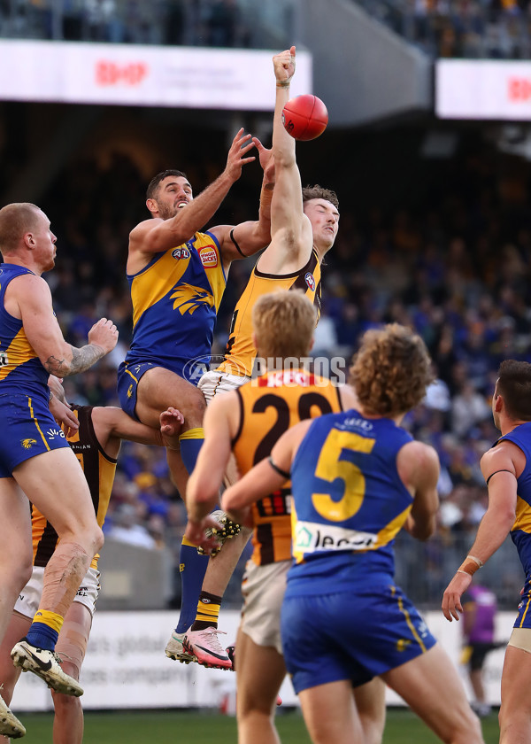 AFL 2024 Round 16 - West Coast v Hawthorn - A-51495507