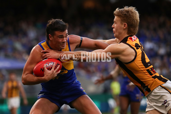 AFL 2024 Round 16 - West Coast v Hawthorn - A-51499384