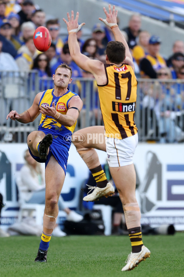 AFL 2024 Round 16 - West Coast v Hawthorn - A-51500995