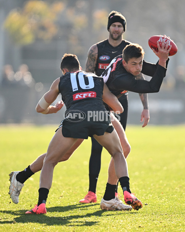 AFL 2024 Training - Collingwood 030724 - A-51517769