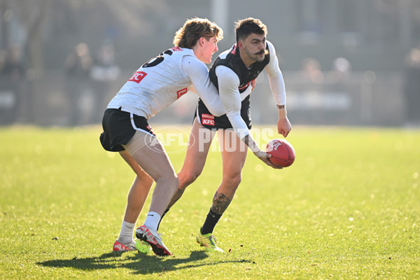 AFL 2024 Training - Collingwood 030724 - A-51583982