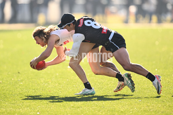 AFL 2024 Training - Collingwood 030724 - A-51596591