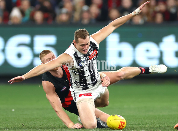 AFL 2024 Round 17 - Collingwood v Essendon - A-51614102