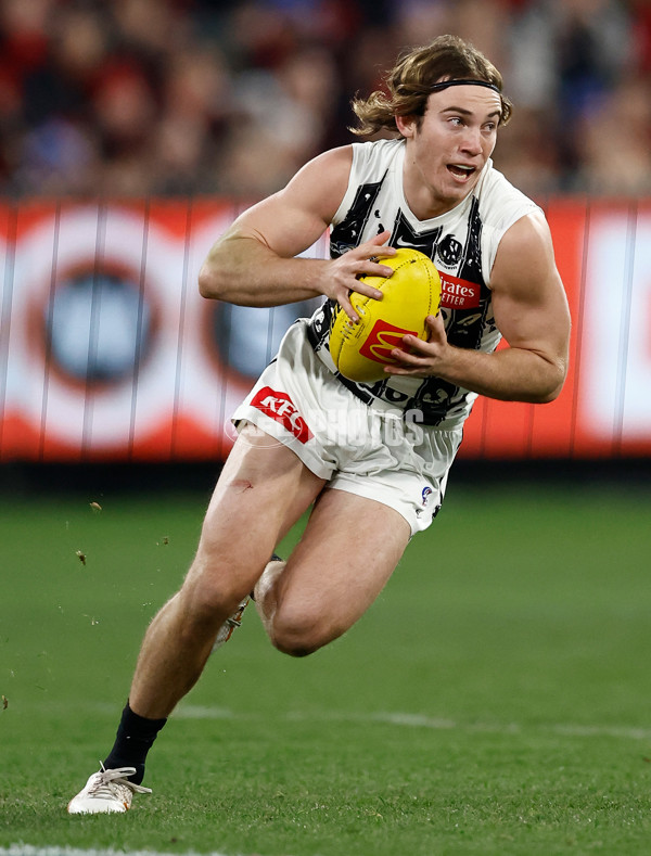 AFL 2024 Round 17 - Collingwood v Essendon - A-51616001