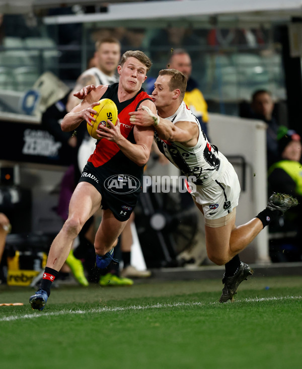 AFL 2024 Round 17 - Collingwood v Essendon - A-51618544