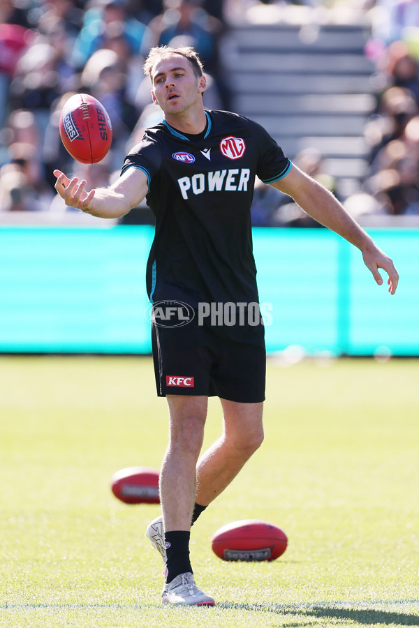 AFL 2024 Round 17 - Port Adelaide v Western Bulldogs - A-51621405