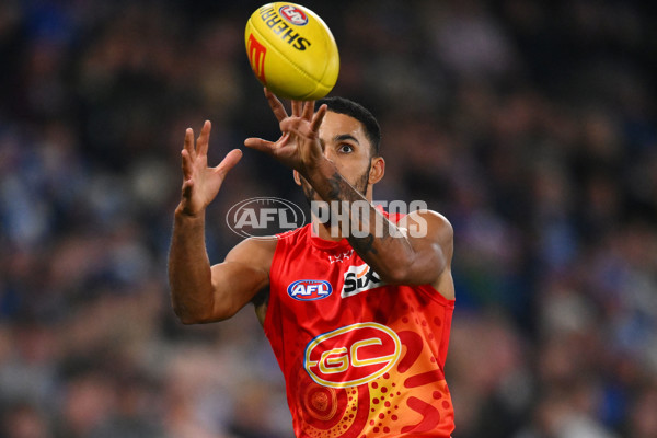 AFL 2024 Round 17 - North Melbourne v Gold Coast - A-51624022