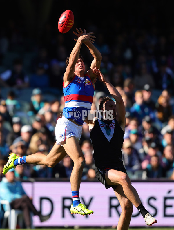 AFL 2024 Round 17 - Port Adelaide v Western Bulldogs - A-51624157