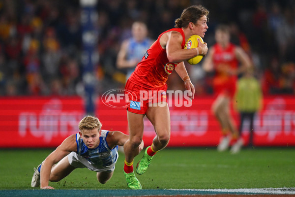 AFL 2024 Round 17 - North Melbourne v Gold Coast - A-51626448