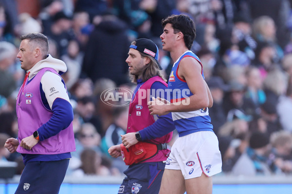 AFL 2024 Round 17 - Port Adelaide v Western Bulldogs - A-51628603