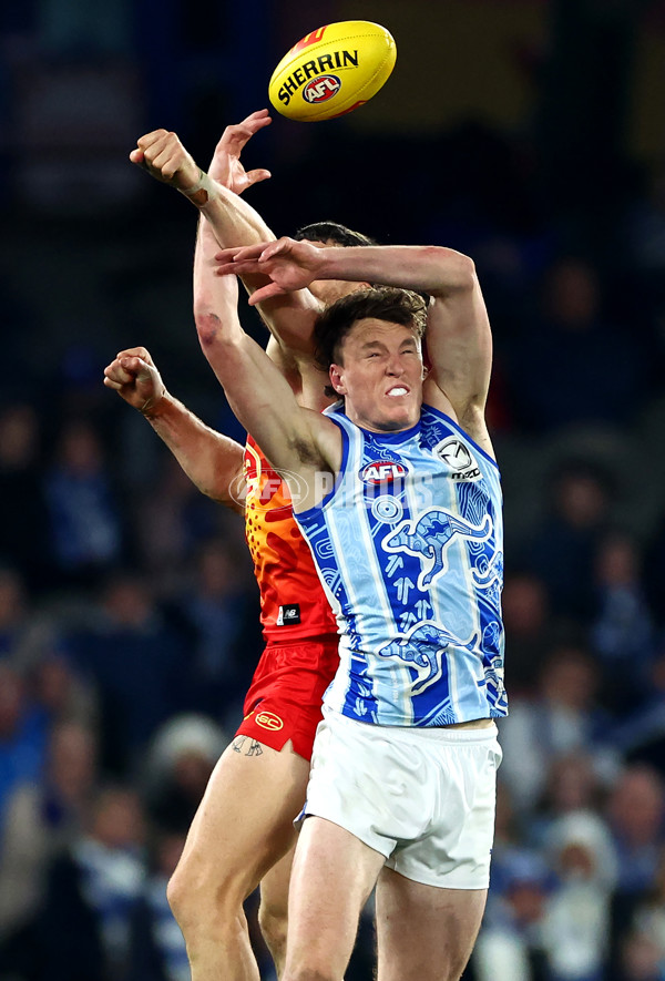 AFL 2024 Round 17 - North Melbourne v Gold Coast - A-51628657