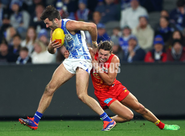 AFL 2024 Round 17 - North Melbourne v Gold Coast - A-51630732