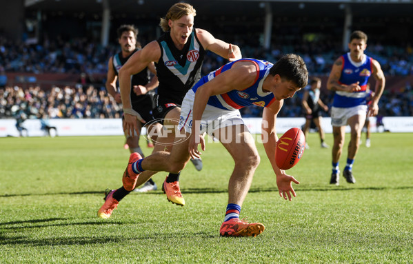 AFL 2024 Round 17 - Port Adelaide v Western Bulldogs - A-51630737