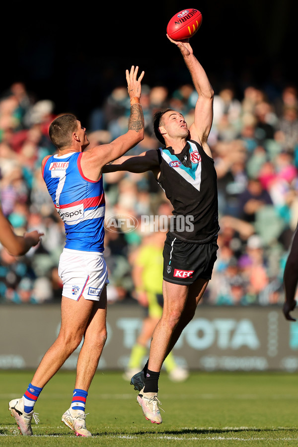 AFL 2024 Round 17 - Port Adelaide v Western Bulldogs - A-51631138