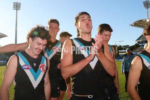 AFL 2024 Round 17 - Port Adelaide v Western Bulldogs - A-51631176