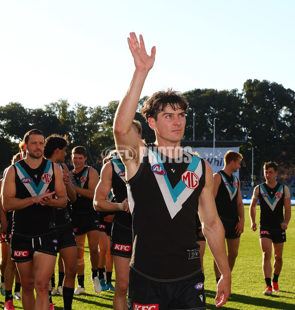 AFL 2024 Round 17 - Port Adelaide v Western Bulldogs - A-51631181