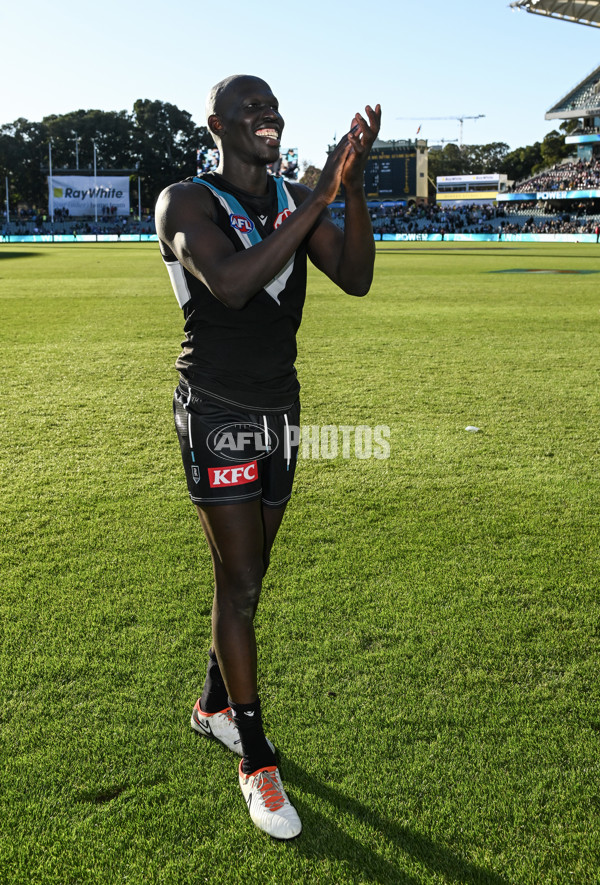 AFL 2024 Round 17 - Port Adelaide v Western Bulldogs - A-51633363