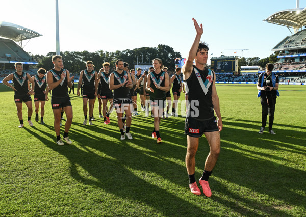 AFL 2024 Round 17 - Port Adelaide v Western Bulldogs - A-51633369