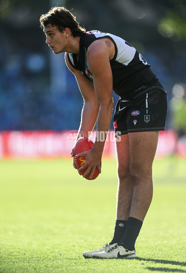 AFL 2024 Round 17 - Port Adelaide v Western Bulldogs - A-51634266