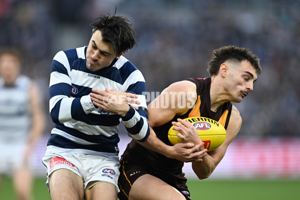 AFL 2024 Round 17 - Geelong v Hawthorn - A-51636775