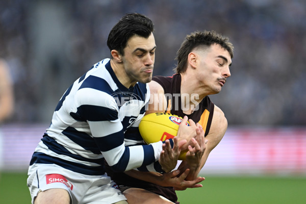 AFL 2024 Round 17 - Geelong v Hawthorn - A-51636777