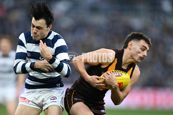 AFL 2024 Round 17 - Geelong v Hawthorn - A-51636779