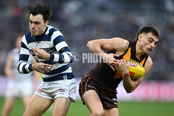 AFL 2024 Round 17 - Geelong v Hawthorn - A-51636786