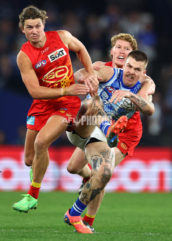 AFL 2024 Round 17 - North Melbourne v Gold Coast - A-51636793