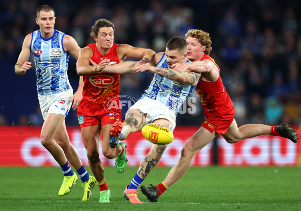 AFL 2024 Round 17 - North Melbourne v Gold Coast - A-51636803