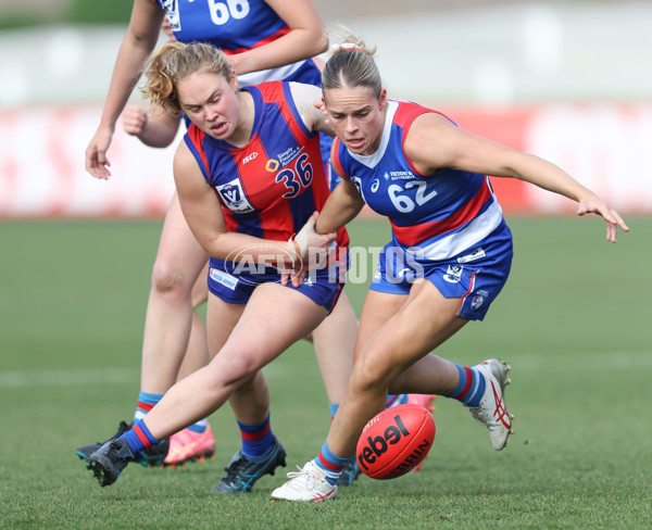 VFLW 2024 First Semi Final - Western Bulldogs v Port Melbourne - A-51636805