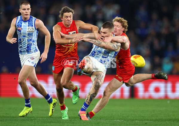 AFL 2024 Round 17 - North Melbourne v Gold Coast - A-51636807