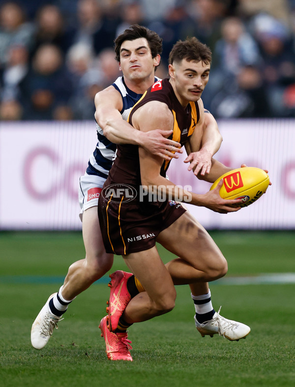 AFL 2024 Round 17 - Geelong v Hawthorn - A-51636841