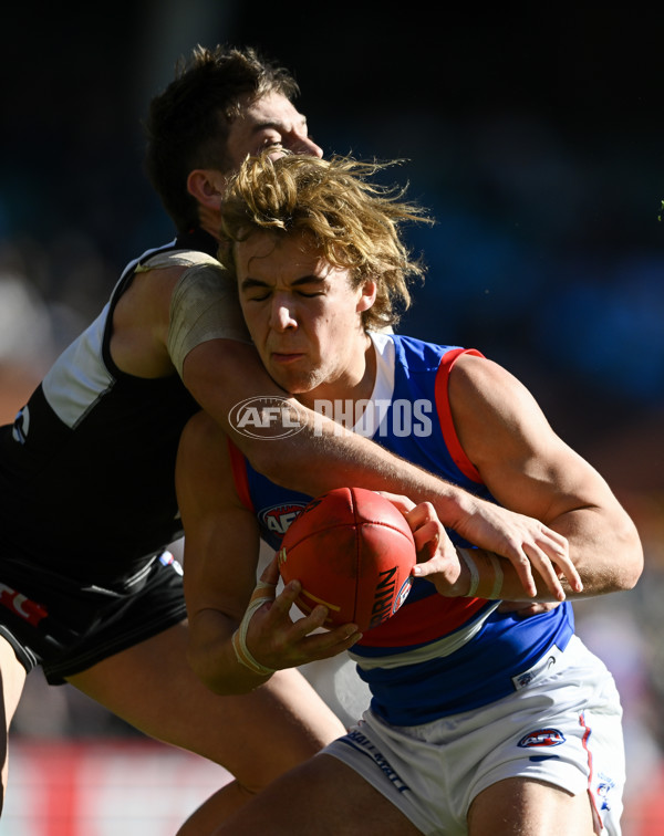 AFL 2024 Round 17 - Port Adelaide v Western Bulldogs - A-51645162