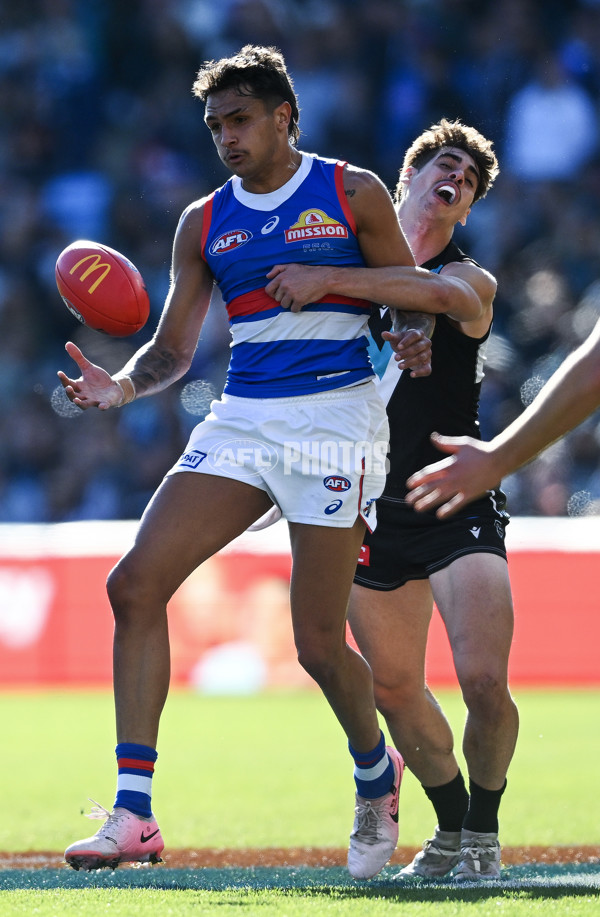 AFL 2024 Round 17 - Port Adelaide v Western Bulldogs - A-51645177