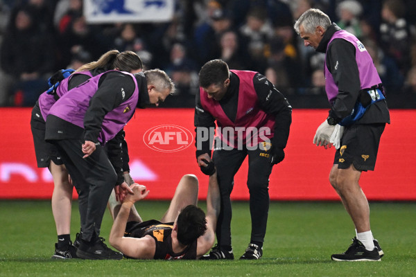 AFL 2024 Round 17 - Geelong v Hawthorn - A-51646602