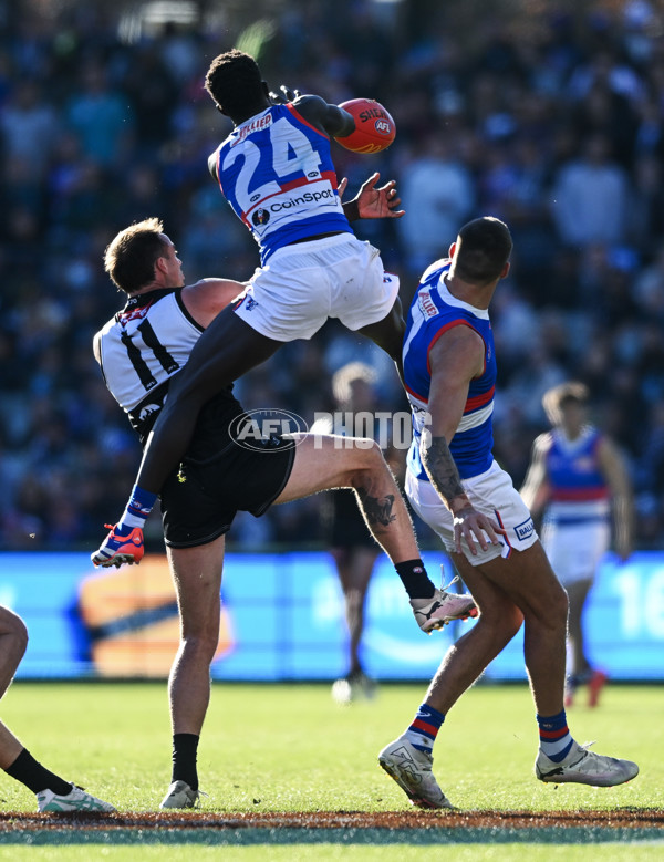 AFL 2024 Round 17 - Port Adelaide v Western Bulldogs - A-51646605