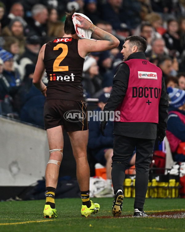 AFL 2024 Round 17 - Geelong v Hawthorn - A-51646777