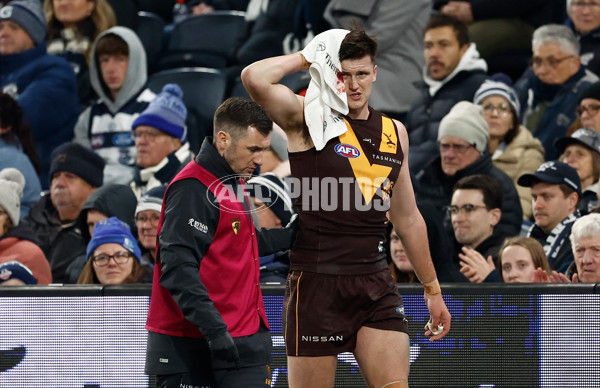 AFL 2024 Round 17 - Geelong v Hawthorn - A-51646786