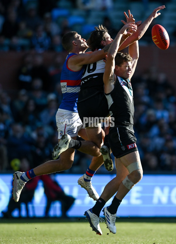 AFL 2024 Round 17 - Port Adelaide v Western Bulldogs - A-51646789