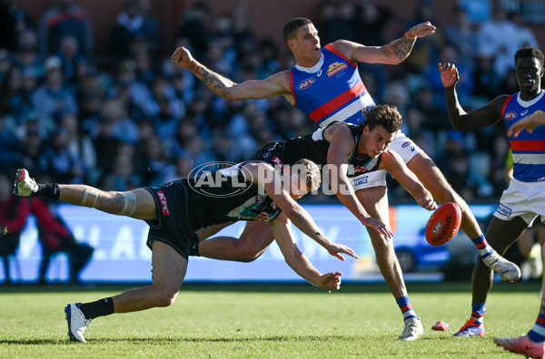 AFL 2024 Round 17 - Port Adelaide v Western Bulldogs - A-51646803