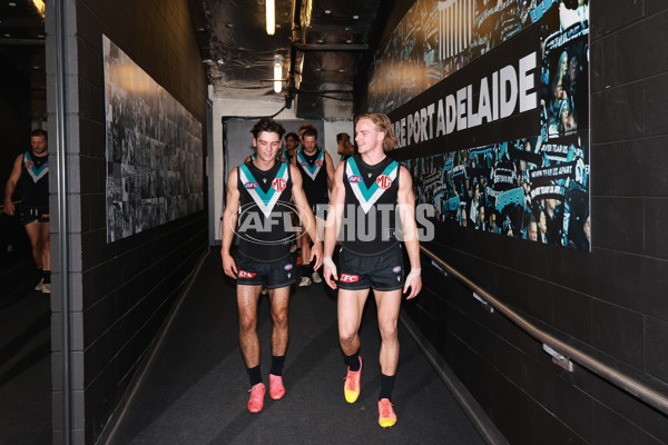 AFL 2024 Round 17 - Port Adelaide v Western Bulldogs - A-51652193