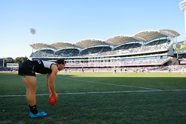 AFL 2024 Round 17 - Port Adelaide v Western Bulldogs - A-51652196