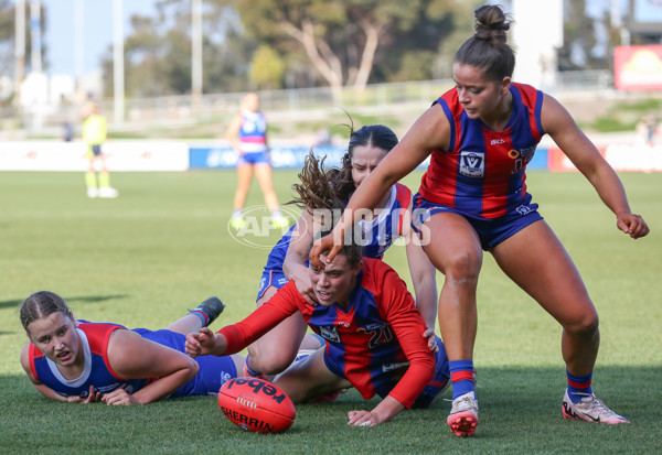 VFLW 2024 First Semi Final - Western Bulldogs v Port Melbourne - A-51654570