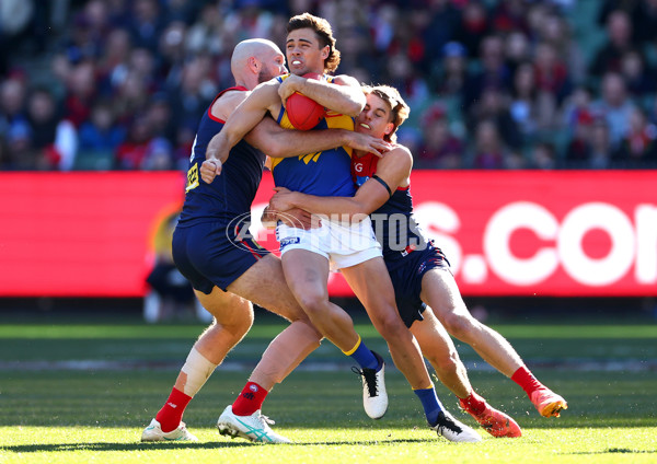 AFL 2024 Round 17 - Melbourne v West Coast - A-51671764