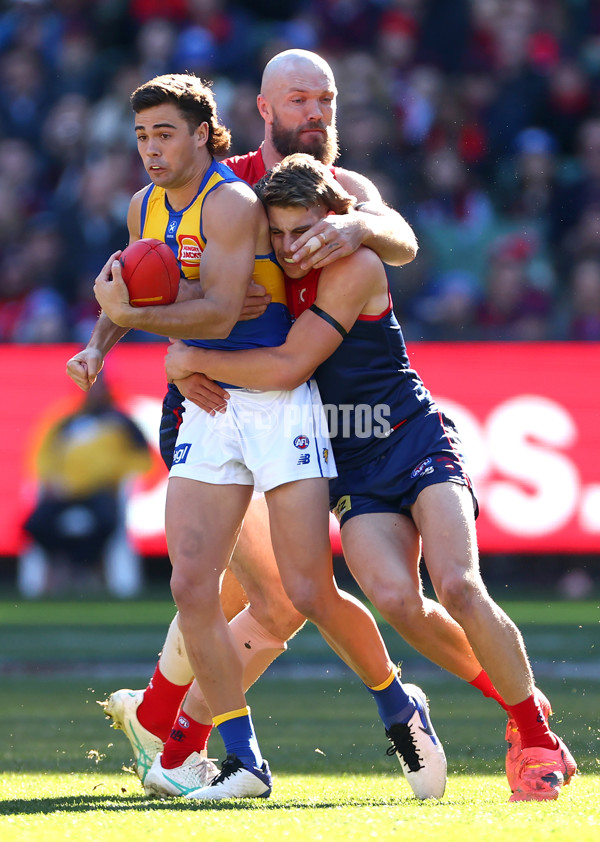 AFL 2024 Round 17 - Melbourne v West Coast - A-51671765