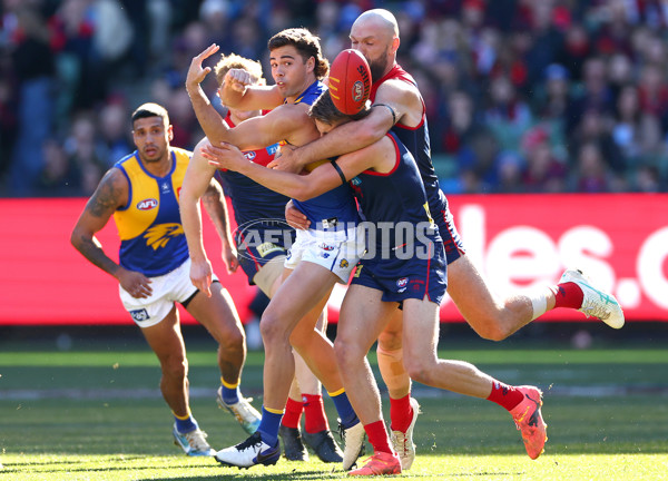 AFL 2024 Round 17 - Melbourne v West Coast - A-51671766