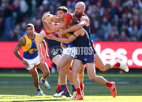 AFL 2024 Round 17 - Melbourne v West Coast - A-51671767