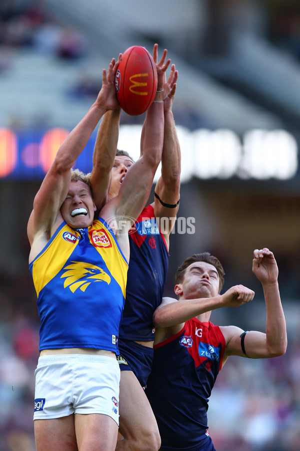 AFL 2024 Round 17 - Melbourne v West Coast - A-51672162