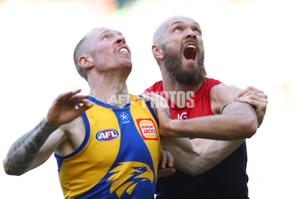 AFL 2024 Round 17 - Melbourne v West Coast - A-51674874